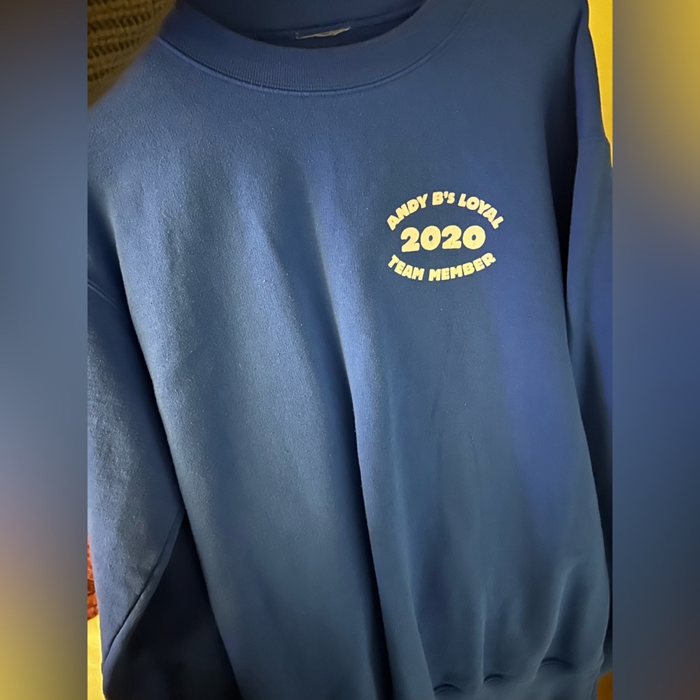 Andy bs 2020 survivors